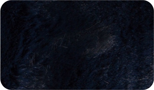 Fur · 191-5