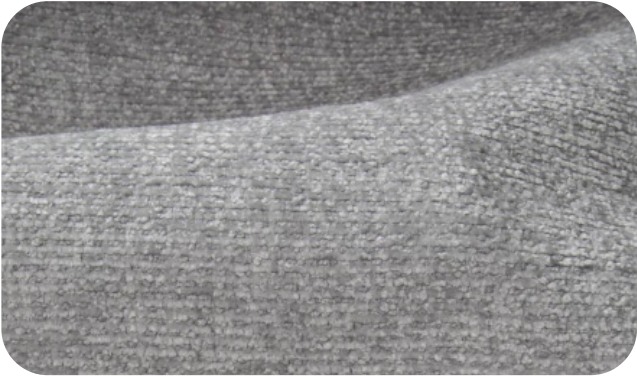 Genesis · Silver 19