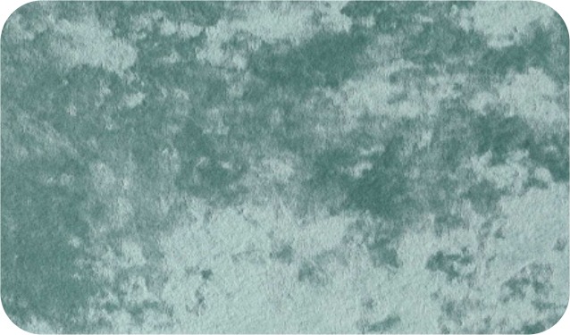 Monaco vektor · 11