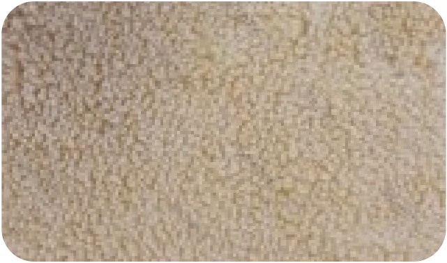 Sherpa · LLSH-4 N51-12