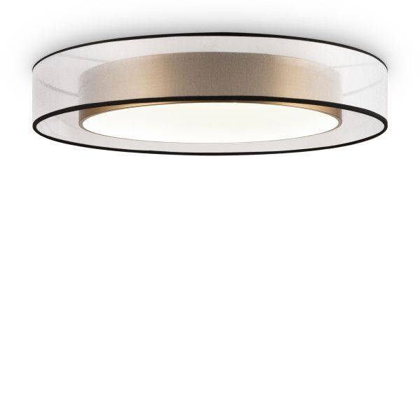 Потолочный светильник Zoticus FR6005CL-L48G