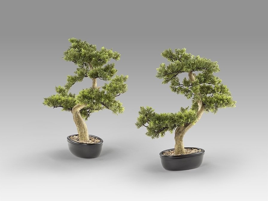 Bankan - bonsai 75cm Искусственное растение из 2 предметов