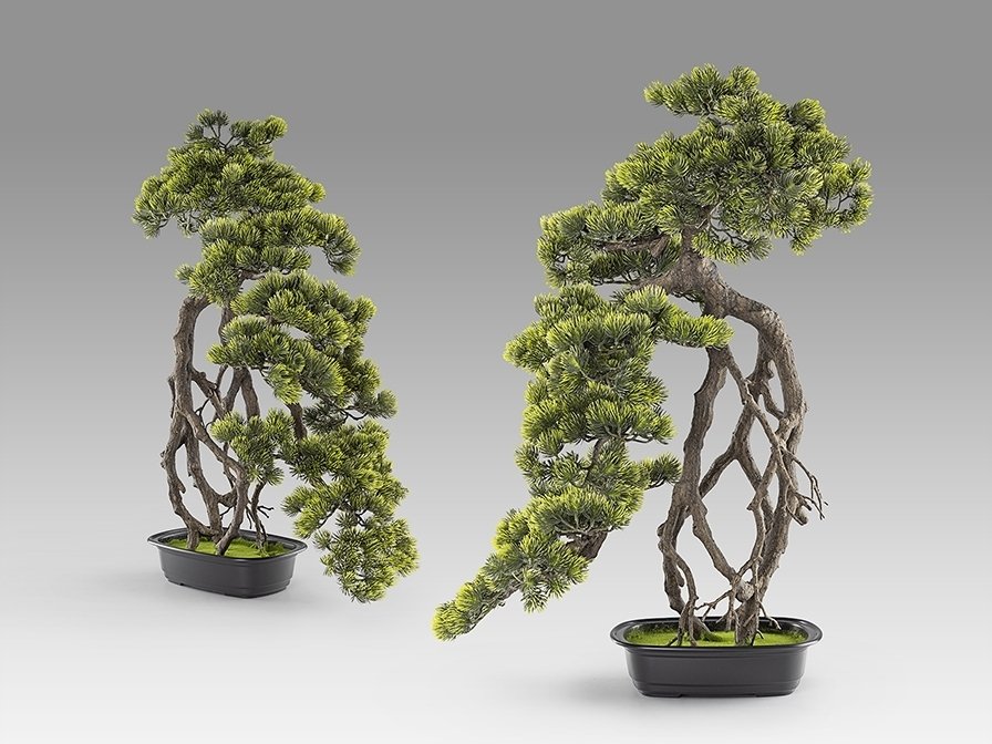 Kengai bonsai 74см Искусственное растение из 2 предметов