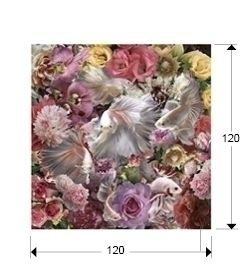 Фотография Peces Luchador Siam 120x120 см