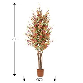 Eucalipto color h200 Искусственное растение набор из 2 шт