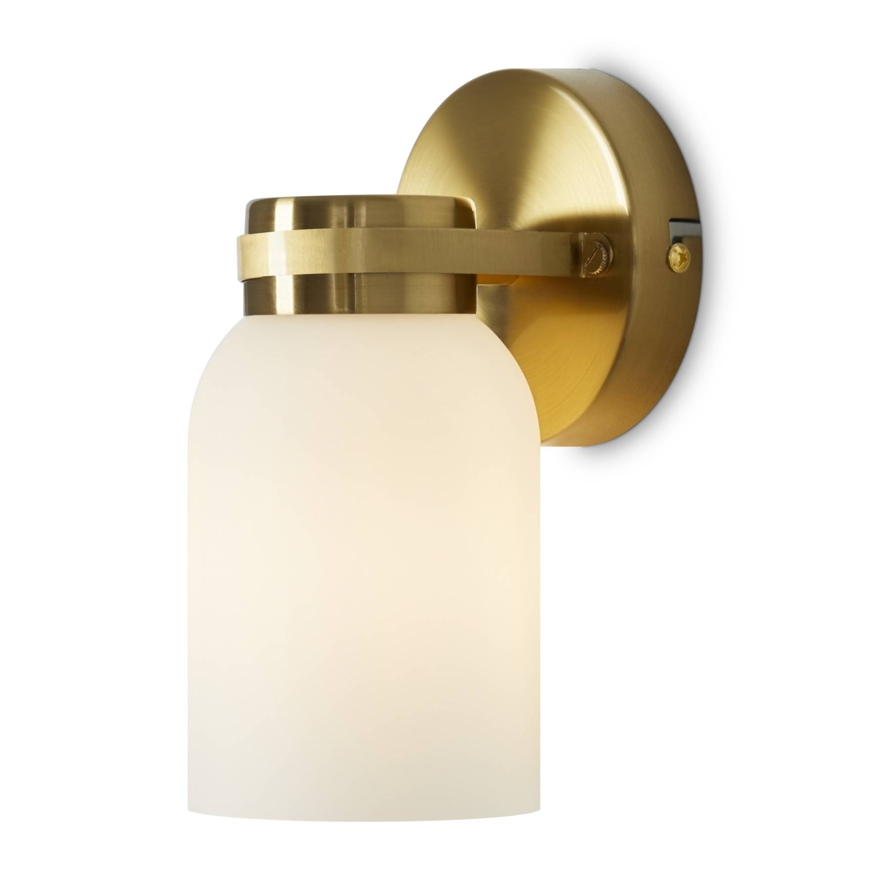 Настенный светильник (бра) Kamelia FR5446WL-01BS