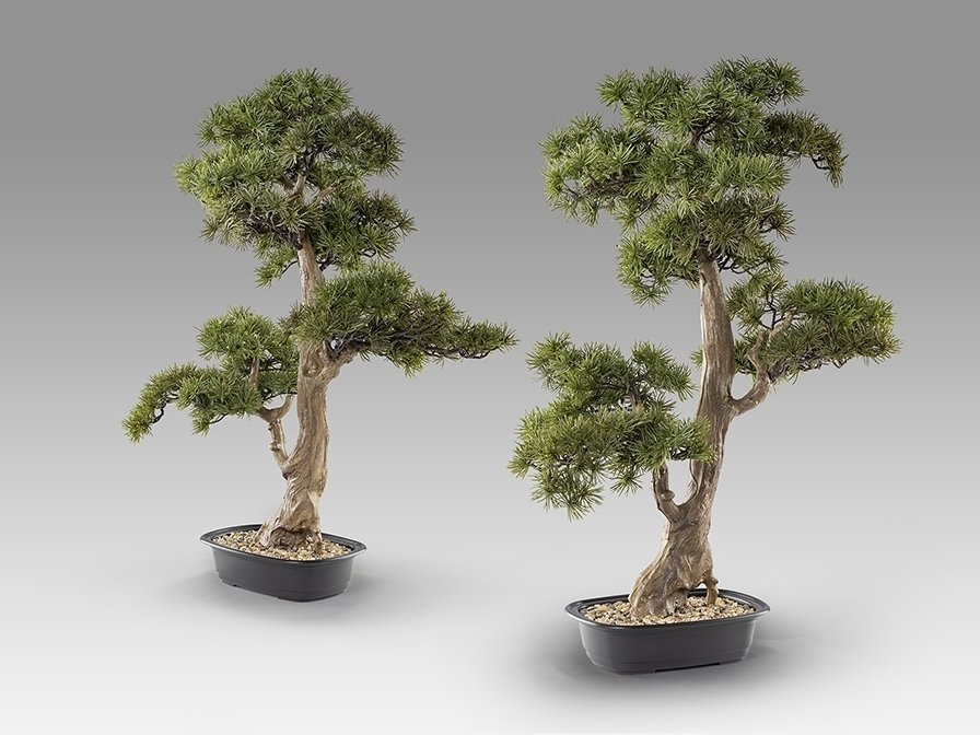 Chokkan - bonsai 83cm Искусственное растение из 2 предметов