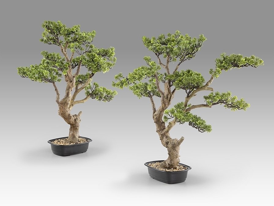 Sokan - bonsai 81cm Искусственное растение из 2 предметов