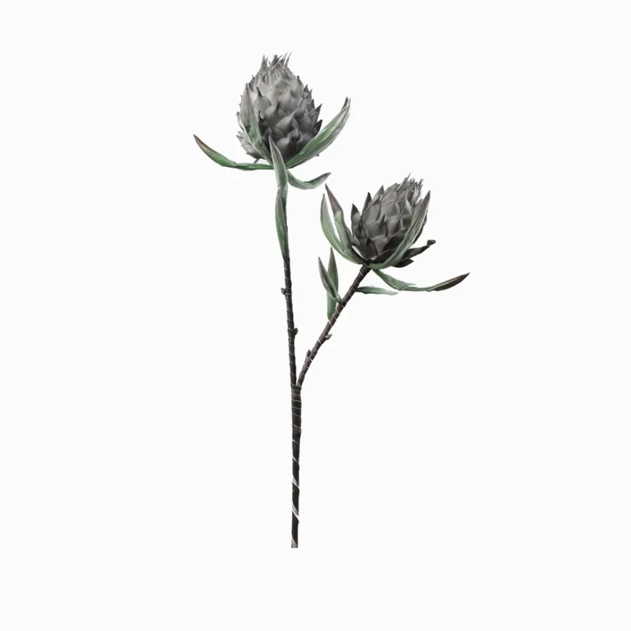 Декор Protea